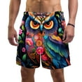 thumbnail image 1 of luoweisi Men's Beach Shorts Quick Dry Swim Trunks with Mesh Lining Cartoon Owl XL, 1 of 5
