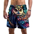 thumbnail image 1 of luoweisi Men's Beach Shorts Quick Dry Swim Trunks with Mesh Lining Cartoon Owl XL, 1 of 5