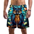 thumbnail image 1 of luoweisi Men's Beach Shorts Quick Dry Swim Trunks with Mesh Lining Cartoon Owl XL, 1 of 5