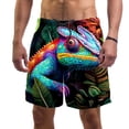 thumbnail image 1 of luoweisi Men's Beach Shorts Quick Dry Swim Trunks with Mesh Lining Chameleon L, 1 of 5