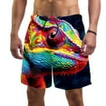 thumbnail image 1 of luoweisi Men's Beach Shorts Quick Dry Swim Trunks with Mesh Lining Chameleon XL, 1 of 5