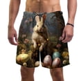 thumbnail image 1 of luoweisi Men's Beach Shorts Quick Dry Swim Trunks with Mesh Lining Easter Rabbit L, 1 of 5