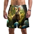 thumbnail image 1 of luoweisi Men's Beach Shorts Quick Dry Swim Trunks with Mesh Lining Easter Rabbit L, 1 of 5