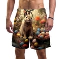 thumbnail image 1 of luoweisi Men's Beach Shorts Quick Dry Swim Trunks with Mesh Lining Easter Rabbit L, 1 of 5