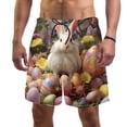 thumbnail image 1 of luoweisi Men's Beach Shorts Quick Dry Swim Trunks with Mesh Lining Easter Rabbit S, 1 of 5