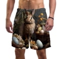 thumbnail image 1 of luoweisi Men's Beach Shorts Quick Dry Swim Trunks with Mesh Lining Easter Rabbit XL, 1 of 5