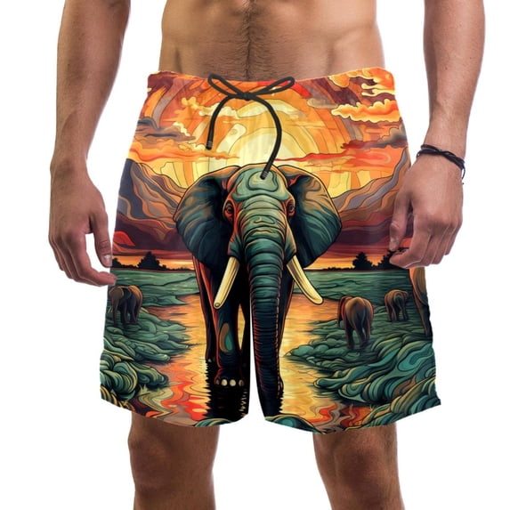 luoweisi Men's Beach Shorts Quick Dry Swim Trunks with Mesh Lining Elephant L