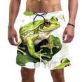 thumbnail image 1 of luoweisi Men's Beach Shorts Quick Dry Swim Trunks with Mesh Lining Frog L, 1 of 5