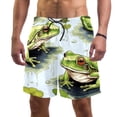 thumbnail image 1 of luoweisi Men's Beach Shorts Quick Dry Swim Trunks with Mesh Lining Frog M, 1 of 5