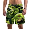 thumbnail image 1 of luoweisi Men's Beach Shorts Quick Dry Swim Trunks with Mesh Lining Frog S, 1 of 5