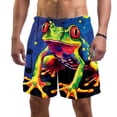 thumbnail image 1 of luoweisi Men's Beach Shorts Quick Dry Swim Trunks with Mesh Lining Frog XL, 1 of 5