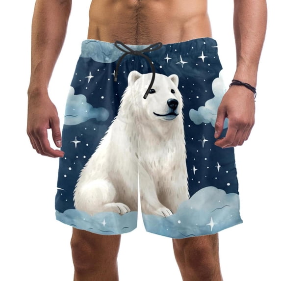 luoweisi Men's Beach Shorts Quick Dry Swim Trunks with Mesh Lining Galaxy Polar Bear 2XL