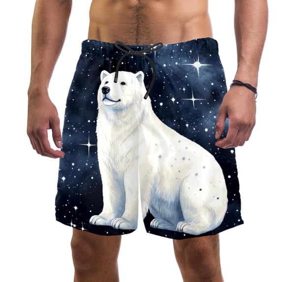 luoweisi Men's Beach Shorts Quick Dry Swim Trunks with Mesh Lining Galaxy Polar Bear L