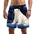 thumbnail image 1 of luoweisi Men's Beach Shorts Quick Dry Swim Trunks with Mesh Lining Galaxy Polar Bear L, 1 of 5