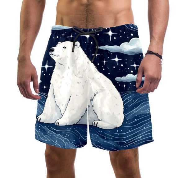 luoweisi Men's Beach Shorts Quick Dry Swim Trunks with Mesh Lining Galaxy Polar Bear S