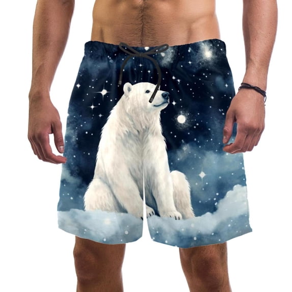 luoweisi Men's Beach Shorts Quick Dry Swim Trunks with Mesh Lining Galaxy Polar Bear S
