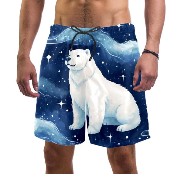 luoweisi Men's Beach Shorts Quick Dry Swim Trunks with Mesh Lining Galaxy Polar Bear XL