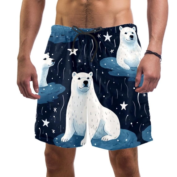luoweisi Men's Beach Shorts Quick Dry Swim Trunks with Mesh Lining Galaxy Polar Bear XL