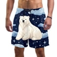 thumbnail image 1 of luoweisi Men's Beach Shorts Quick Dry Swim Trunks with Mesh Lining Galaxy Polar Bear XL, 1 of 5