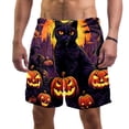 thumbnail image 1 of luoweisi Men's Beach Shorts Quick Dry Swim Trunks with Mesh Lining Halloween Black Cat S, 1 of 5