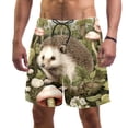 thumbnail image 1 of luoweisi Men's Beach Shorts Quick Dry Swim Trunks with Mesh Lining Hedgehog M, 1 of 5