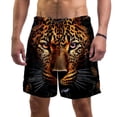 thumbnail image 1 of luoweisi Men's Beach Shorts Quick Dry Swim Trunks with Mesh Lining Leopard 2XL, 1 of 5