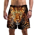 thumbnail image 1 of luoweisi Men's Beach Shorts Quick Dry Swim Trunks with Mesh Lining Leopard L, 1 of 5