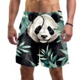 thumbnail image 1 of luoweisi Men's Beach Shorts Quick Dry Swim Trunks with Mesh Lining Panda S, 1 of 5