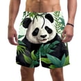 thumbnail image 1 of luoweisi Men's Beach Shorts Quick Dry Swim Trunks with Mesh Lining Panda S, 1 of 5