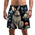 thumbnail image 1 of luoweisi Men's Beach Shorts Quick Dry Swim Trunks with Mesh Lining Rabbit L, 1 of 5