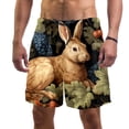 thumbnail image 1 of luoweisi Men's Beach Shorts Quick Dry Swim Trunks with Mesh Lining Rabbit XL, 1 of 5