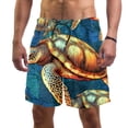 thumbnail image 1 of luoweisi Men's Beach Shorts Quick Dry Swim Trunks with Mesh Lining Sea Turtle 2XL, 1 of 5