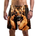 thumbnail image 1 of luoweisi Men's Beach Shorts Quick Dry Swim Trunks with Mesh Lining Sheepdog L, 1 of 5