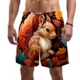 thumbnail image 1 of luoweisi Men's Beach Shorts Quick Dry Swim Trunks with Mesh Lining Squirrel L, 1 of 5