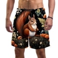 thumbnail image 1 of luoweisi Men's Beach Shorts Quick Dry Swim Trunks with Mesh Lining Squirrel S, 1 of 5
