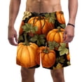 thumbnail image 1 of luoweisi Men's Beach Shorts Quick Dry Swim Trunks with Mesh Lining Thanksgiving Pumpkin 2XL, 1 of 5