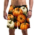 thumbnail image 1 of luoweisi Men's Beach Shorts Quick Dry Swim Trunks with Mesh Lining Thanksgiving Pumpkin L, 1 of 5