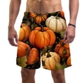 thumbnail image 1 of luoweisi Men's Beach Shorts Quick Dry Swim Trunks with Mesh Lining Thanksgiving Pumpkin M, 1 of 5