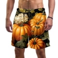 thumbnail image 1 of luoweisi Men's Beach Shorts Quick Dry Swim Trunks with Mesh Lining Thanksgiving Pumpkin S, 1 of 5