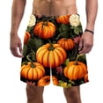 thumbnail image 1 of luoweisi Men's Beach Shorts Quick Dry Swim Trunks with Mesh Lining Thanksgiving Pumpkin XL, 1 of 5