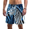 thumbnail image 1 of luoweisi Men's Beach Shorts Quick Dry Swim Trunks with Mesh Lining Zebra 2XL, 1 of 5