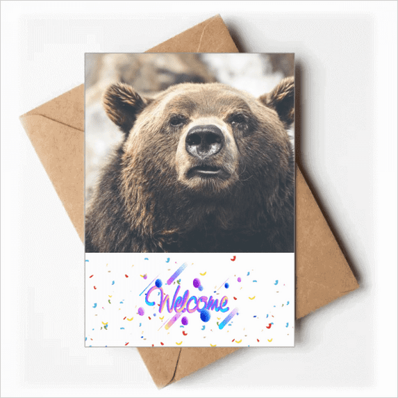 m Animal Bear Welcome Back Greeting Cards Envelopes Blank