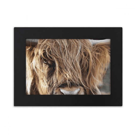 m Animal Buffalo Desktop Photo Frame Ornaments Picture Art Painting