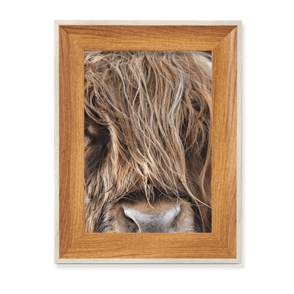 m Animal Buffalo Desktop Wooden Photo Frame Display Picture Art Painting Multiple Sets