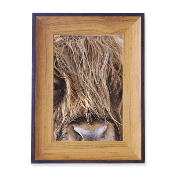 m Animal Buffalo Photo Frame Exhibition Display Art Desktop Painting