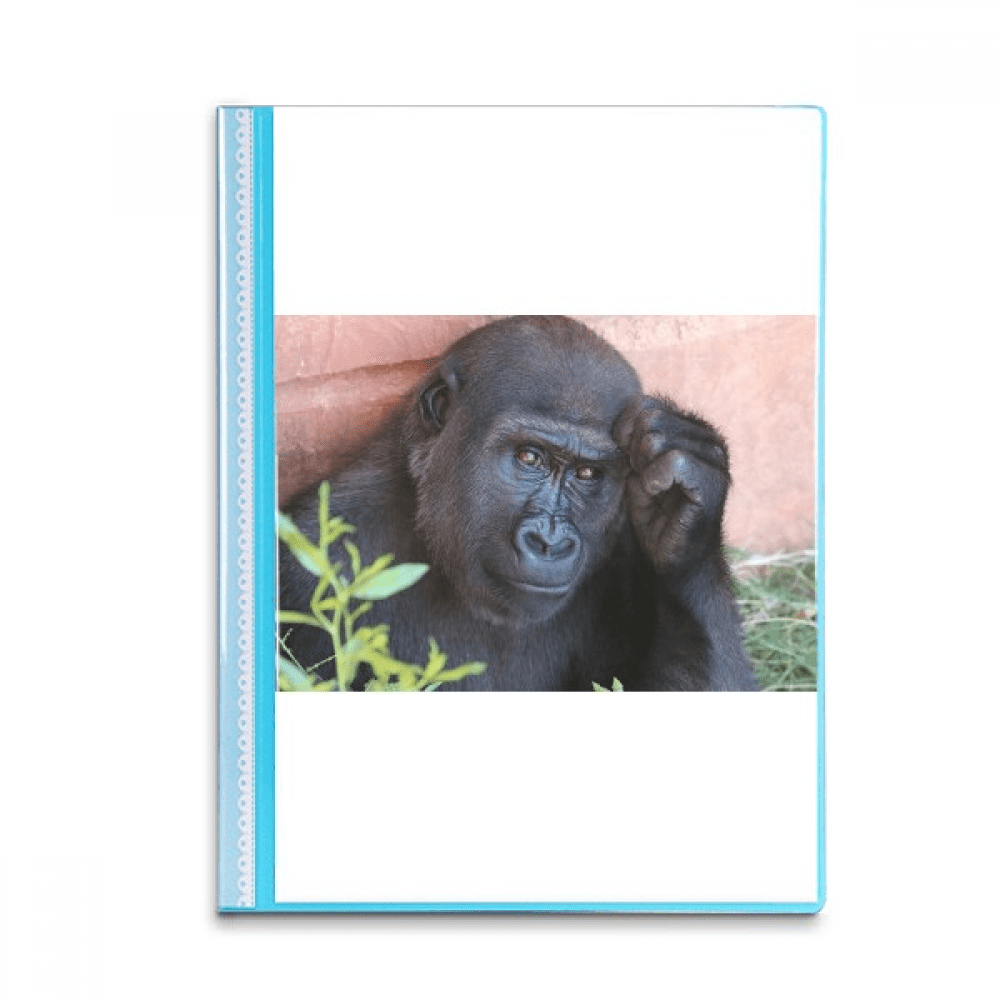 m  Animal  Chimpanzee Book Sheet Protectors Portfolio Binder Folder