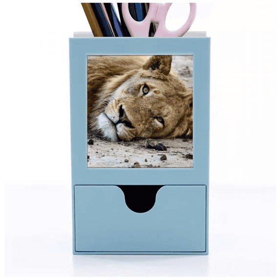 m Animal Lion Desk Supplies Organizer Pen Holder Card