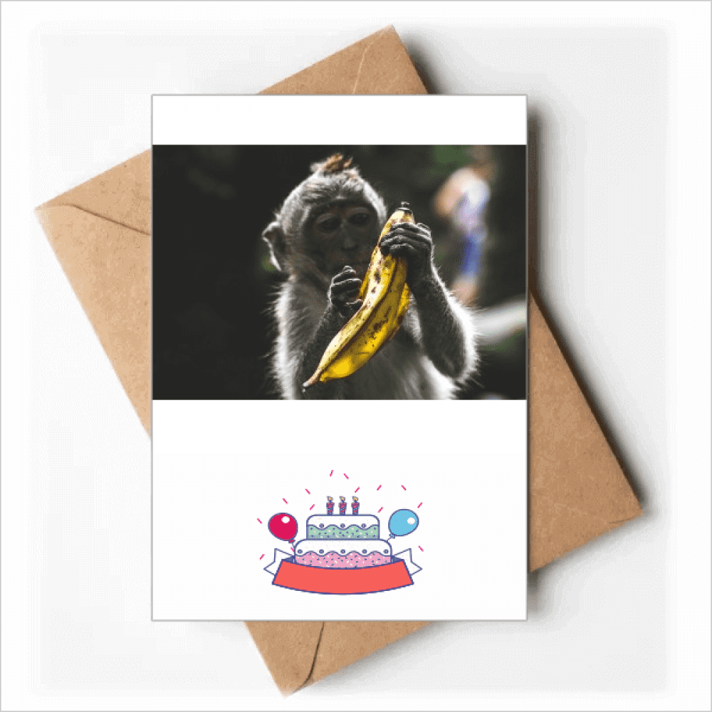 m Animal Monkey Happy Birthday Greeting Cards Envelopes Blank