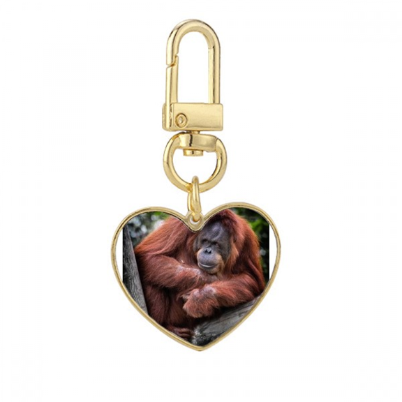 m Animal Orang-utan Gold Heart Keychain Metal Keyring Holder