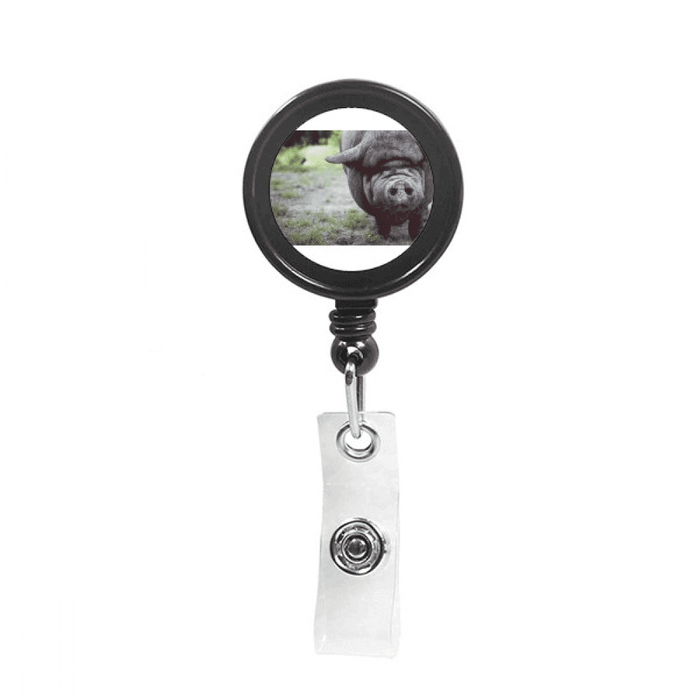 m  Animal Photography Retractable Keychain Badge Holder ID Badge